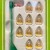 Subbuteo La Leggenda Cosmos New York 1977